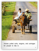 Kaleidoscope GR-F: Work Horses