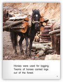 Kaleidoscope GR-F: Work Horses