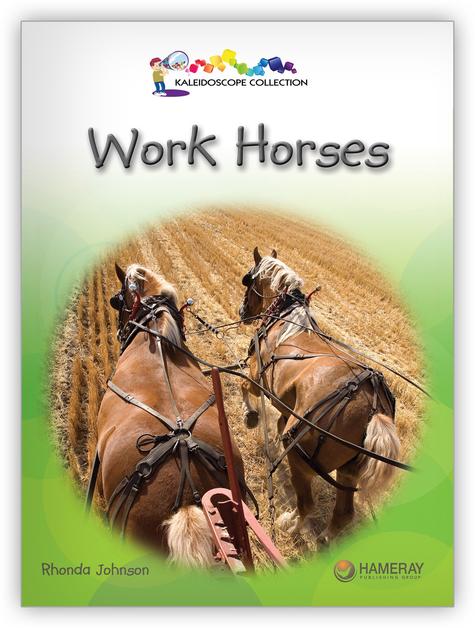 Kaleidoscope GR-F: Work Horses