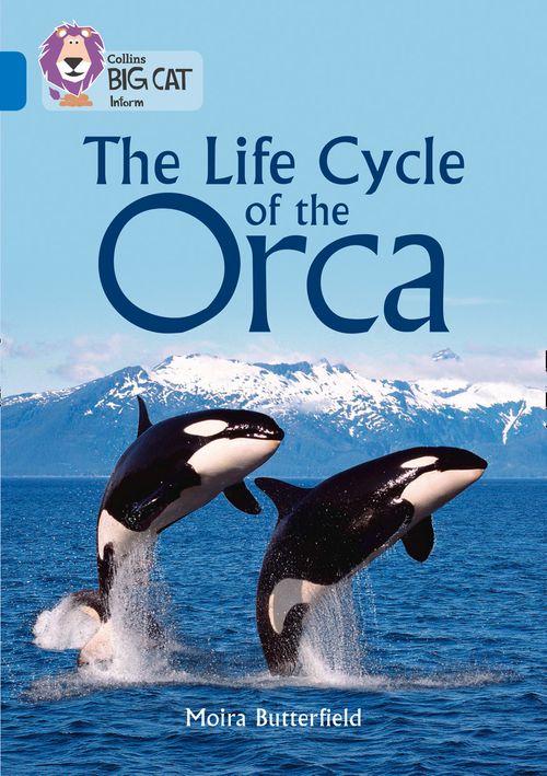Collins Big Cat Sapphire(Band 16)The Life Cycle of the Orca