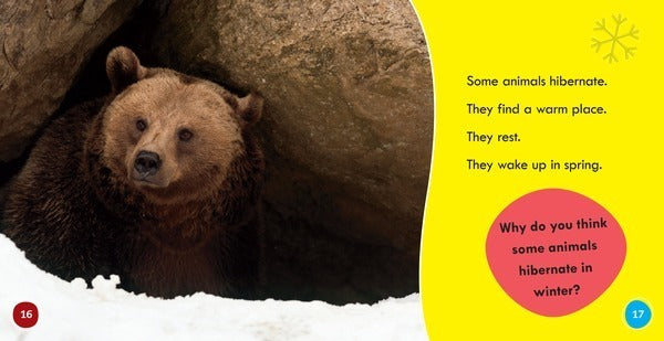 Winter is Fun! Bumba Books(Season Fun)